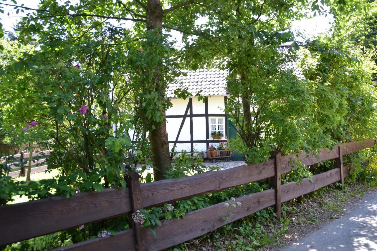 Eifelhaus Paula Villa Monschau Eksteriør billede